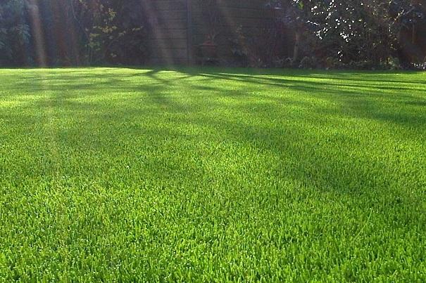 highest quality artificial grass melbourne