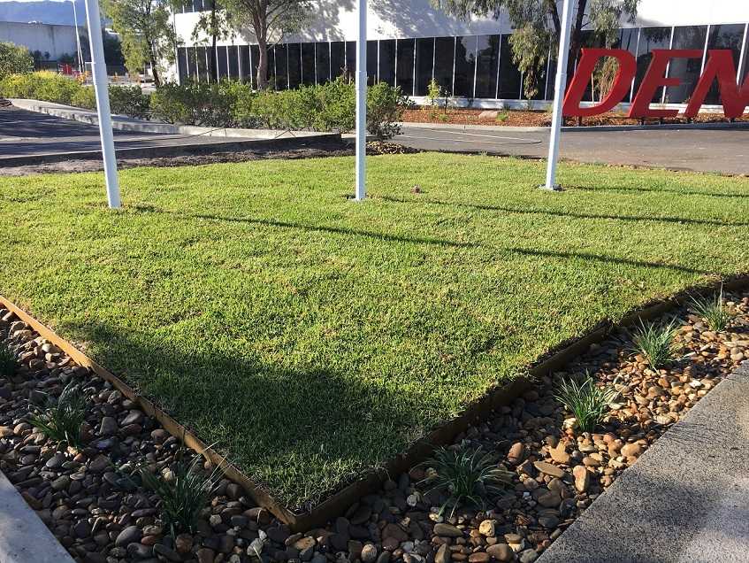 denso commercial artificial turf after